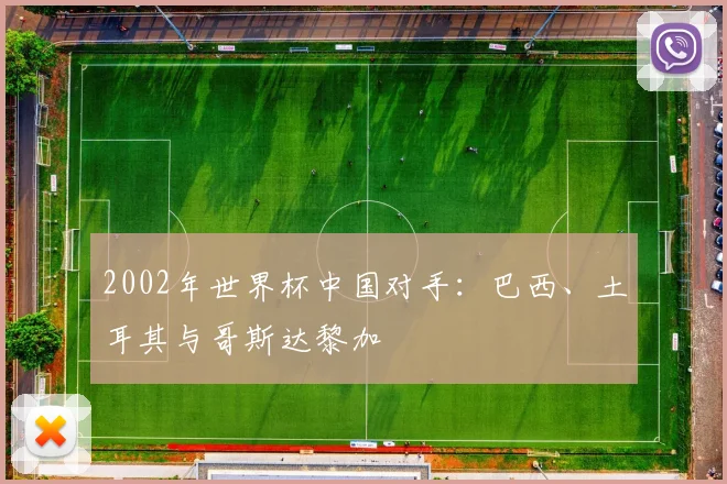 2002年世界杯中国对手:巴西、土耳其与哥斯达黎加