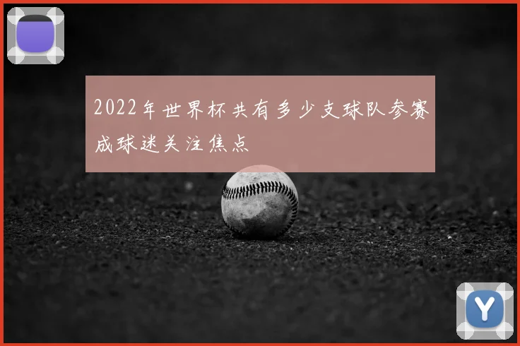 2022年世界杯共有多少支球队参赛成球迷关注焦点