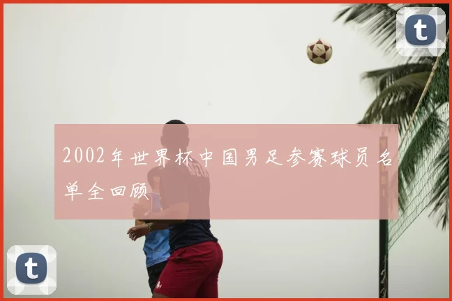 2002年世界杯中国男足参赛球员名单全回顾