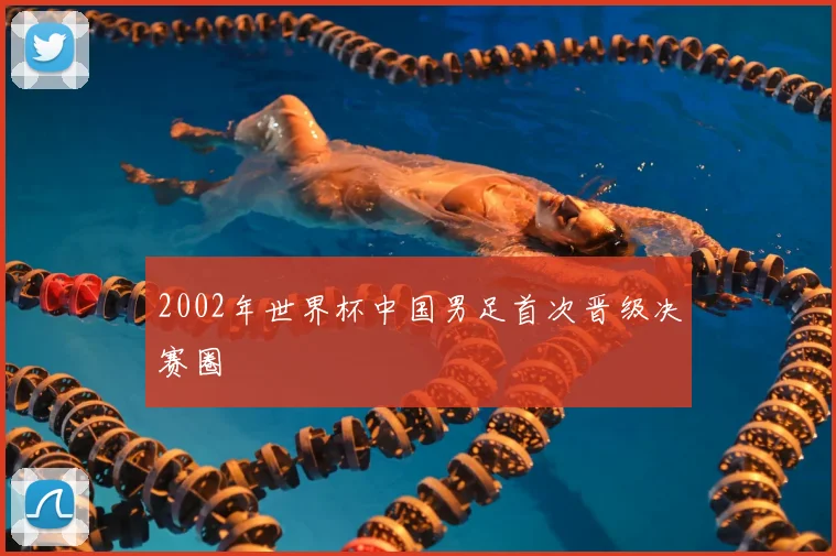 2002年世界杯中国男足首次晋级决赛圈