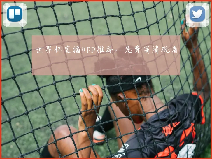 世界杯直播app推荐,免费高清观看