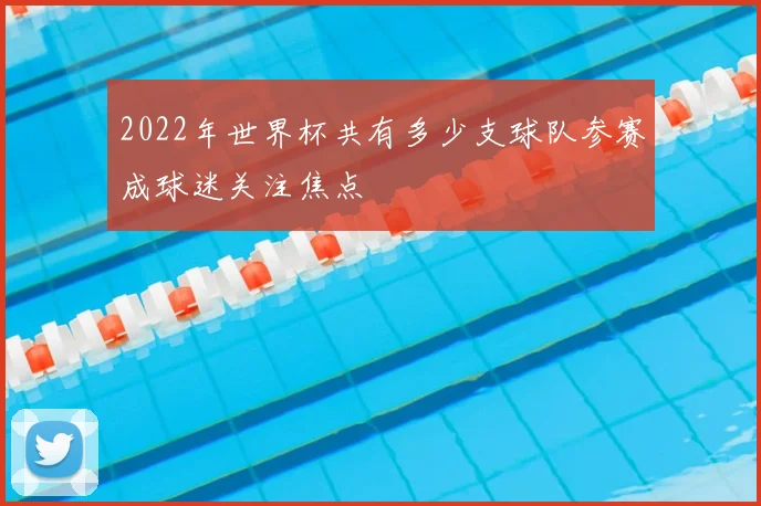 2022年世界杯共有多少支球队参赛成球迷关注焦点