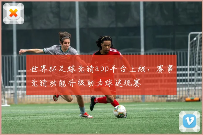 世界杯足球竞猜app平台上线，赛事竞猜功能升级助力球迷观赛