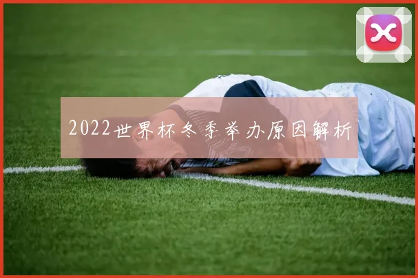 2022世界杯冬季举办原因解析