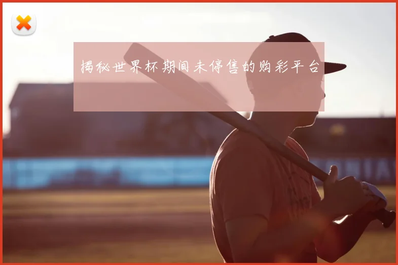 揭秘世界杯期间未停售的购彩平台