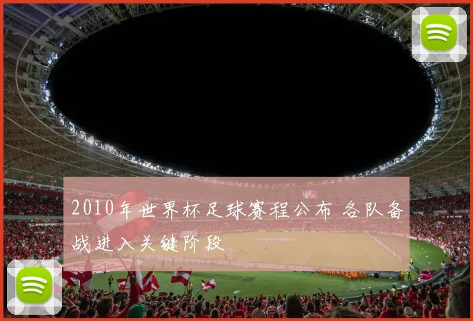 2010年世界杯足球赛程公布 各队备战进入关键阶段