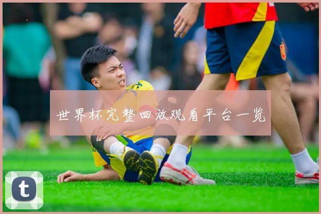 世界杯完整回放观看平台一览