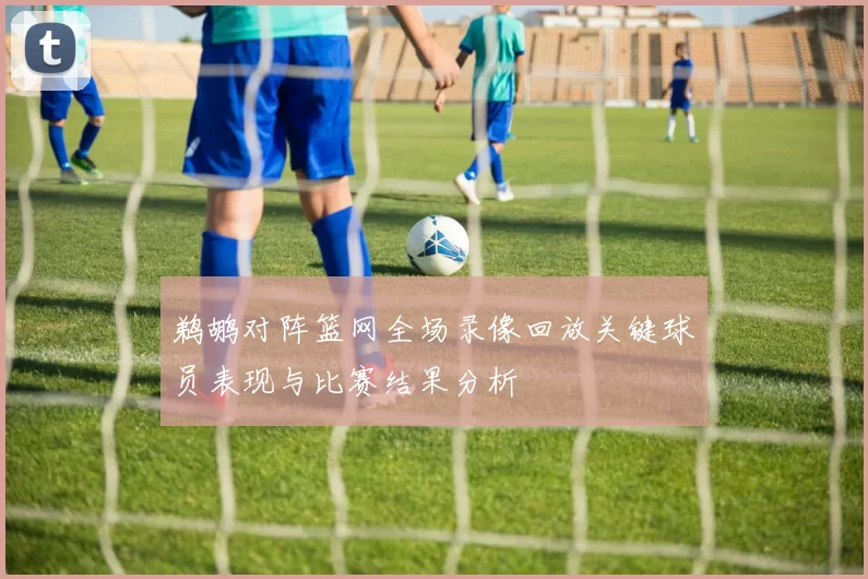 鹈鹕对阵篮网全场录像回放关键球员表现与比赛结果分析